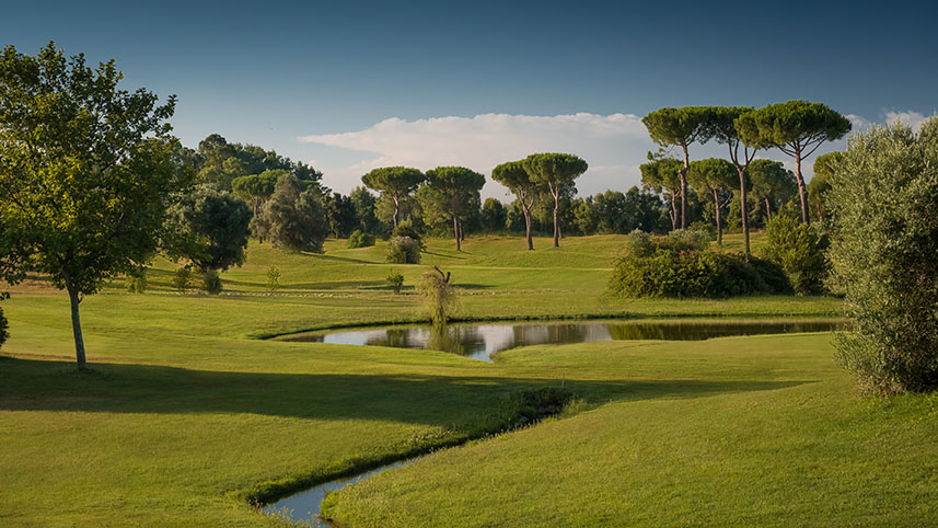 Sheraton Parco de' Medici Rome Hotel